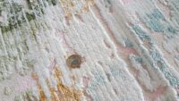 Orientalny dywan barokowy w postarzanym stylu GALAXY RAINBOW kolorowy 160x230 cm - obrazek 11