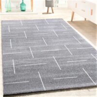 NOWOCZESNY ELEGANCKI GRUBY PONADCZASOWY pastelowy dywan do salonu szary kremowy PACO HOME TIBESTI 120x170 cm
