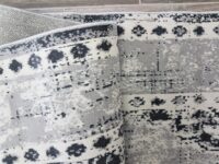 ORIENTALNY DYWAN BELGIJSKI W STYLU VINTAGE z motywem medalionu szary kremowy beżowy VALENCIA 200x290 cm - obrazek 4