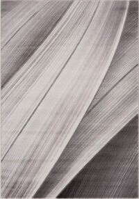 NOWOCZESNY MINIMALISTYCZNY ABSTRAKCYJNY dywan pokojowy szary srebrny CARPET COTY NOA 120x170 cm - obrazek 4