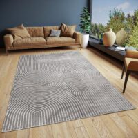 SKANDYNAWSKI WISKOZOWY DYWAN DO SYPIALNI SALONU boho skandi łuki szary HANSE HOME FARON 160x230 cm