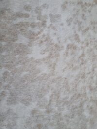 LUKSUSOWY NATURALNY DYWAN ZE SKÓRY BYDLĘCEJ DO SALONU SYPIALNI kremowy beżowy biszkoptowy LUXOR LIVING RINDERFELL 200x200 cm - obrazek 7