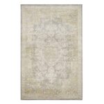 ELEGANCKI ORIENTALNY ANTYCZNY DYWAN DO BIURA SALONU szary zielony oliwkowy SAFAVIEH PASSION 160x230 cm